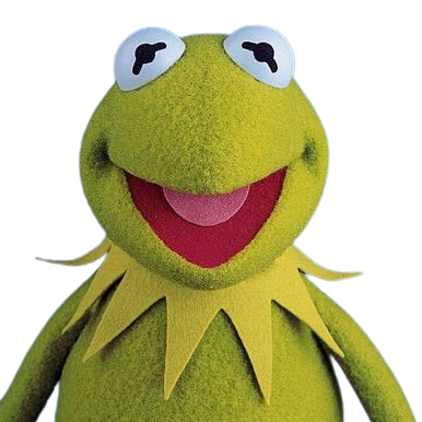 Kermit, avatar de kermitoo.fr, qui vous fixe avec un sourire trop innocent.